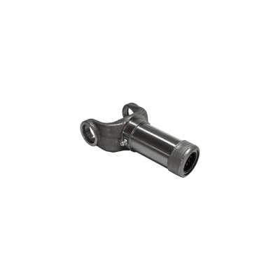 Hembra - NC08024