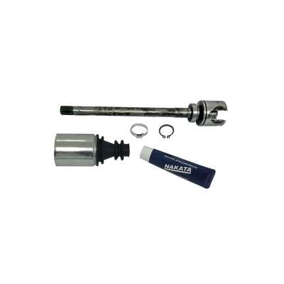 Tulipa - NJH03-895D