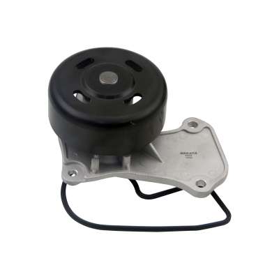 Water pump - NKBA09826