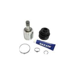 Tulipa - NJH23-239D