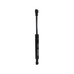 Gas Spring - MG 17289