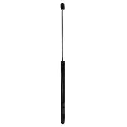Gas Spring - MG 17385