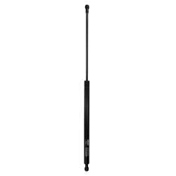 Gas Spring - MG 17381