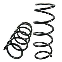 Coil Spring - NKM01089