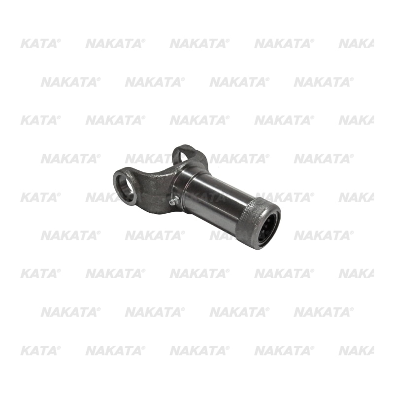 Hembra - NC08024