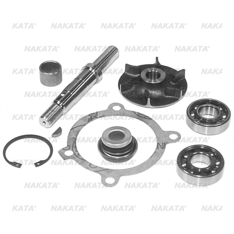 Kit de Reparo da Bomba Dagua - NKBR04393