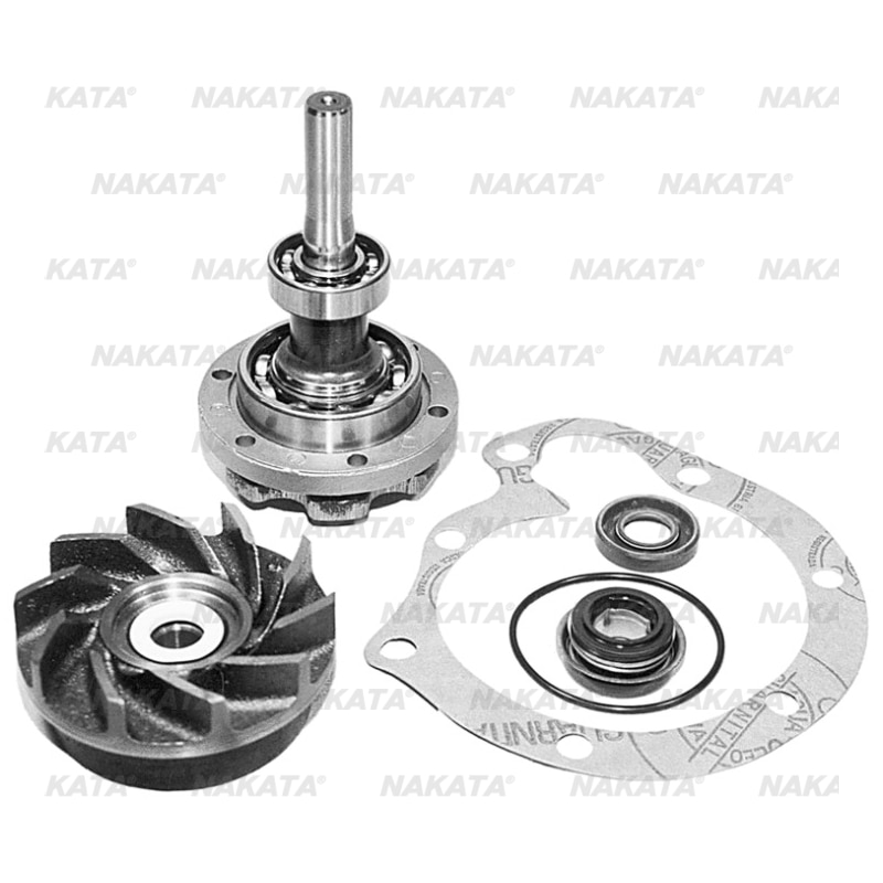 Kit de Reparo da Bomba Dagua - NKBR05709