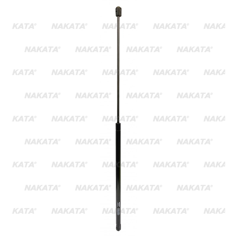 Mola Gás - MG 17488